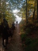 Escursione a cavallo di coppia in Emilia Romagna