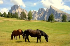 Passeggiata a cavallo 