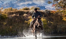 Day Tour to Upsala Glacier and Estancia Cristina