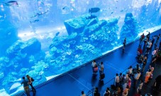 Biglietti per l'Acquario di Dubai e Zoo Sottomarino