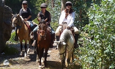 Classic Horseback Ride
