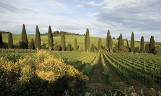 Tour della Toscana - Avanzato