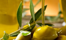 Esclusivo tour del percorso dell'olio d'oliva
