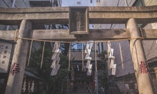 Guided walking tour in Tokyo - Japan’s cultural curiosities