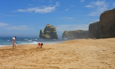 Great Ocean Road Adventure