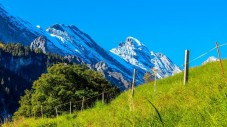 Passeggiata a cavallo di 1 ora