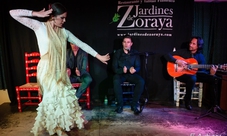 Spettacolo di flamenco a Granada