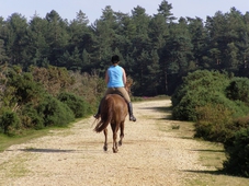 Passeggiata a cavallo, Provincia di Mantova, 1 persona