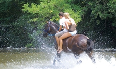 Passeggiata a cavallo da Siena