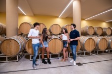 Degustazione Carpineti vini e visita tenuta de Marco Carpineti 