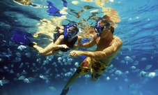 Xel-Ha Eco-Waterpark: Tour All Inclusive