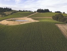 Aperitivo alla Vigna di Leonardo e Teatro