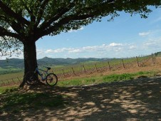 Agriturismo Maremma