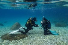 Discover Scuba Calabria - Adulti e Bambini