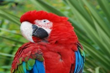 Zoo Café in Budapest – Animal Interaction Experience