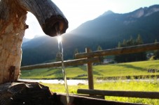 Viaggio Attraverso i sapori dell'Alpe