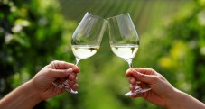 Degustazione di vini nella terra Ligure.