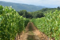 Escursione Lungo il Fiume con Degustazione in Calabria 