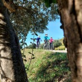 Olio di oliva bike tour - escursione guidata in e-bike tra colli e uliveti