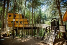 Soggiorno nelle tree houses