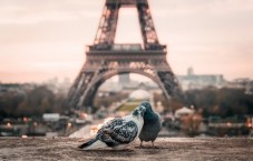 Visita l'Opéra Garnier a Parigi