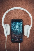 Cuffie e Auricolari