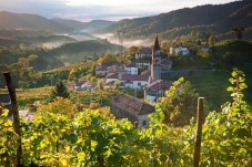 Visita Vigneti e Colline Prosecco Superiore DOCG