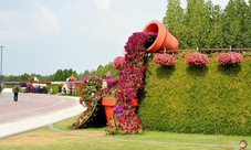 Flora and Fauna Tour in Dubai