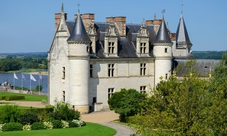 Castelli della Loira: escursione di un giorno a Chambord, Chenonceau e Amboise