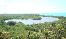 Contoy Island and Isla Mujeres Guided Tour