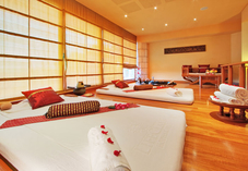 AYURVEDA DETOX A PORTOROSE