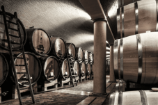 Wine Tour in Valpolicella 