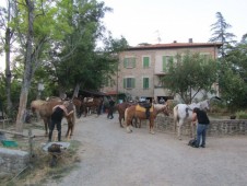 Passeggiata a Cavallo Bologna