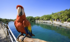 Xel-Ha Eco-Waterpark: Tour All Inclusive