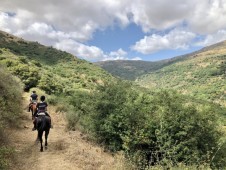 passeggiata a cavallo da 4 ore