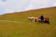 Passeggiata In Carrozza Per 3 Persone