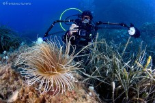 Immersione singola Sicilia Capo Milazzo