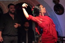 Cena con Flamenco per due Barcellona