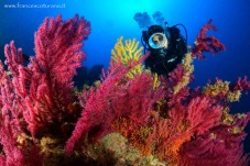 Open water diver a Santa Caterina