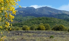 Etna Natura e Sapori: tour di mezza giornata