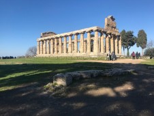 Tour del Museo e delle rovine di Paestum - Escursione privata