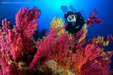 Corso Subacqueo Sicilia SCUBA DIVER