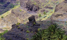 Visita guidata all'Isola La Gomera da Tenerife