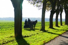 Passeggiata In Carrozza Nella Campagna Pugliese