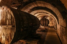 Tour di Vitoria e della regione vinicola della Rioja con visita in cantina 