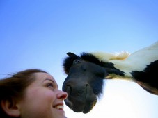 TOUR BLUE LAGOON A CAVALLO - Islanda