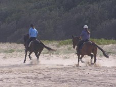 Lezione di equitazione - 2 ore & soggiorno 1 notte