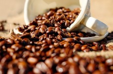 Torrefazione e degustazione di caffè speciali con colazione completa