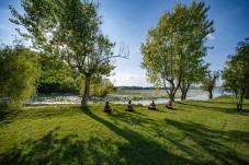 Lezione di Yoga in riva al lago e picnic