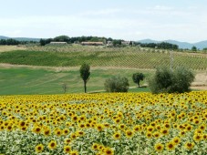 Appartamento trilocale in Umbria